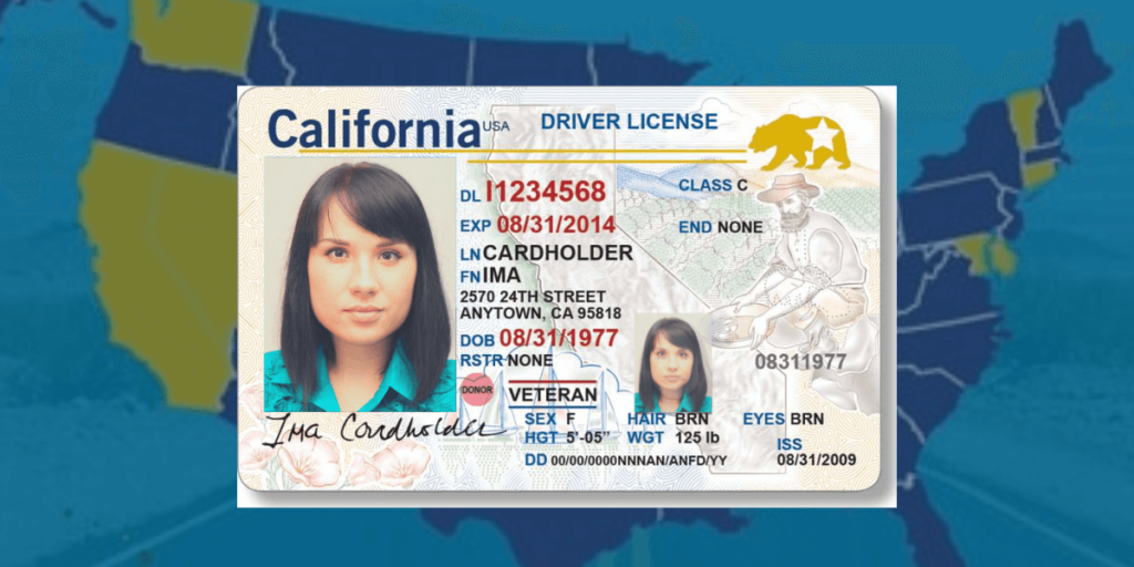 Driver's Licenses for Undocumented Immigrants in the U.S.