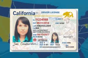 Driver’s Licenses for Undocumented Immigrants in the U.S.